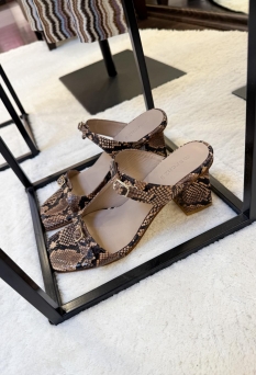 Shoes & Acces ZO26